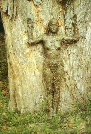 mendietatreeoflife1977.jpg